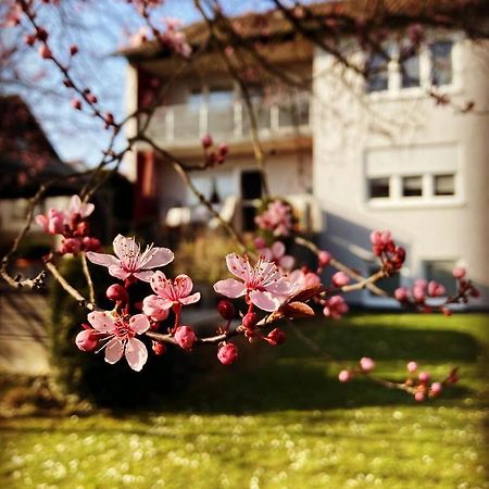 Ferienwohnung Im Aalbachtal - Uettingen Bei Wuerzburg Buitenkant foto