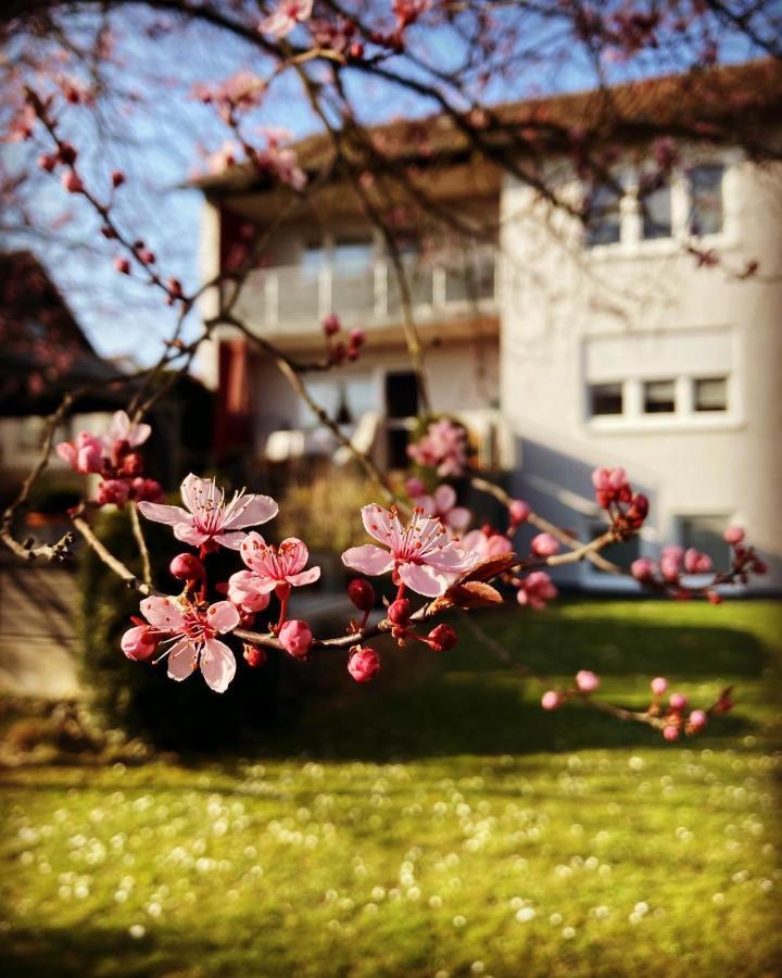 Ferienwohnung Im Aalbachtal - Uettingen Bei Wuerzburg Buitenkant foto