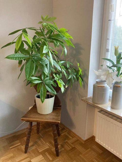 Ferienwohnung Im Aalbachtal - Uettingen Bei Wuerzburg Buitenkant foto